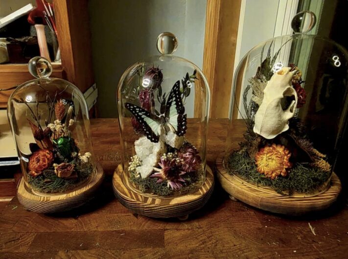 Terrarium Building Workshop